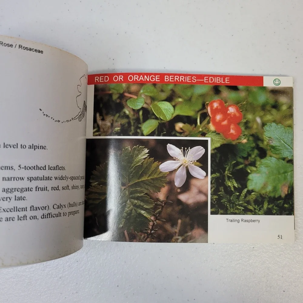 Wild Berries of Alaska Pocket Guide Its‎ the Berries Identification Book